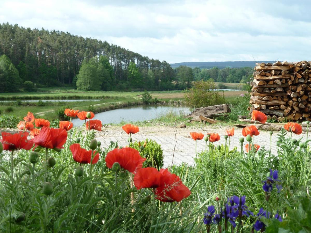 Ferienwohnungen Am Buechlhof Im Oberpfaelzer Seenland นุนบวร์ก ฟอร์ม วาล์ด ภายนอก รูปภาพ